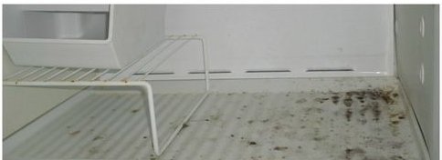 Refrigerator shelf with crumbs and buildup before a deep clean